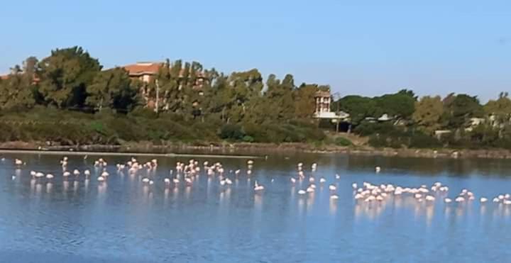 Turismo Rurale Pertunghe Villa Sant' Antonio di Santadi Esterno foto